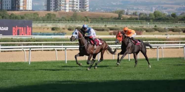 Ankara 75. Yıl Hipodromu’nda Cumhuriyet Kupası Koşuldu: Yeni Şampiyon Belli Oldu