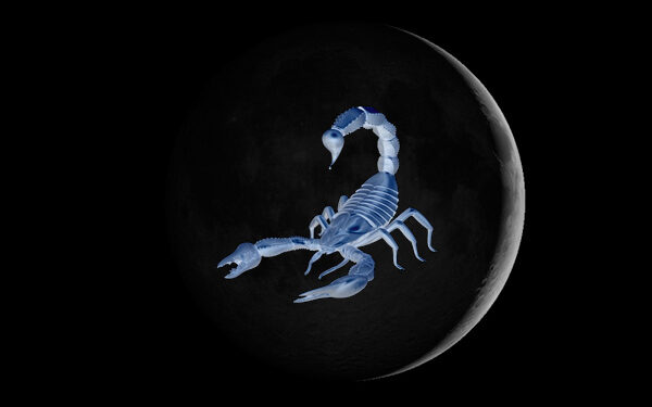 Kripto Akrep Yeni Ayı: Finansal Sırlar ve Riskler Açığa Çıkıyor