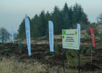 Orzax Hatıra Ormanı Projesi: Elazığ’a Umut Dolu 10 Bin Fidan Dikildi