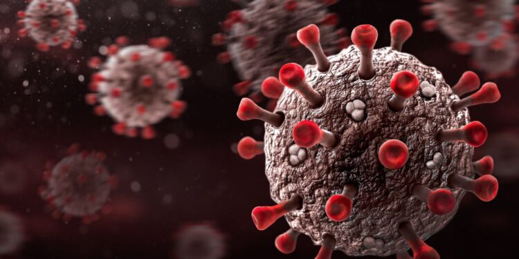 İngiltere’de yeni Maymun çiçeği varyantı: Gelecek Senaryoları ve Sonuç