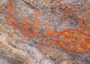 Neolitik Çağ keşfi Kayseri’de Heyecan Yarattı: İnsan Figürleri