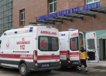 Dışkı Kaynaklı Bakteri Yemeklerde Tespit Edildi