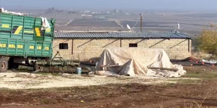 Şanlıurfa Kaçak Elektrik Sorunu ve Kripto Vurgunu